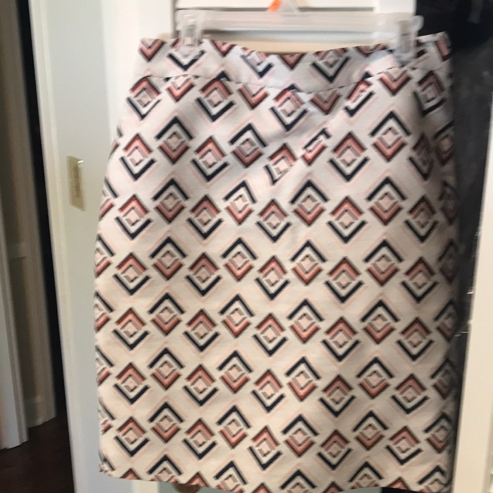 Ann Taylor skirt
